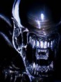 /album/photo-dalien/i%c3%a7j%2c%20n-jpeg1/